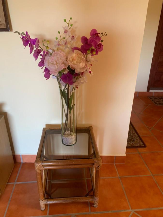 Casa Fraile San Miguel Apartment Сан Мигел де Аленде Екстериор снимка